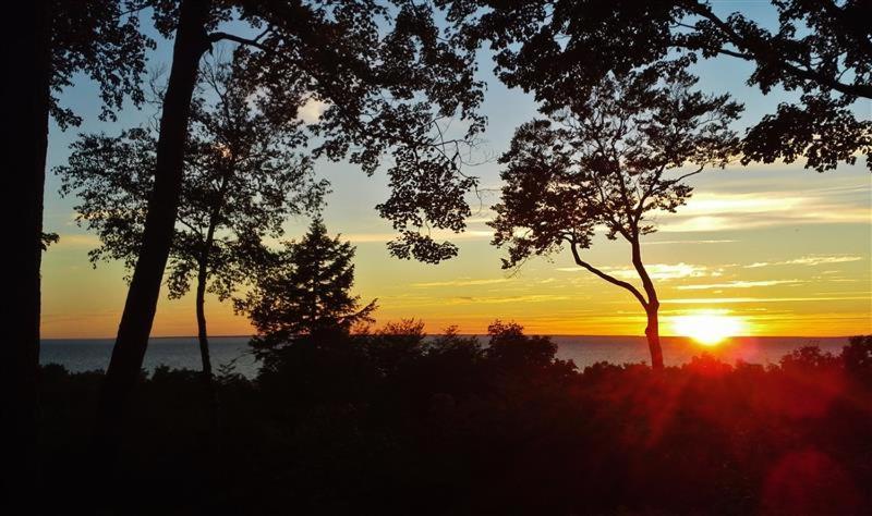 Pet-Friendly One Crow Cottage In Harbor Springs! Esterno foto